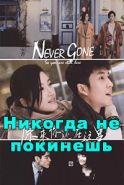 Никогда не покинешь дорама 2018